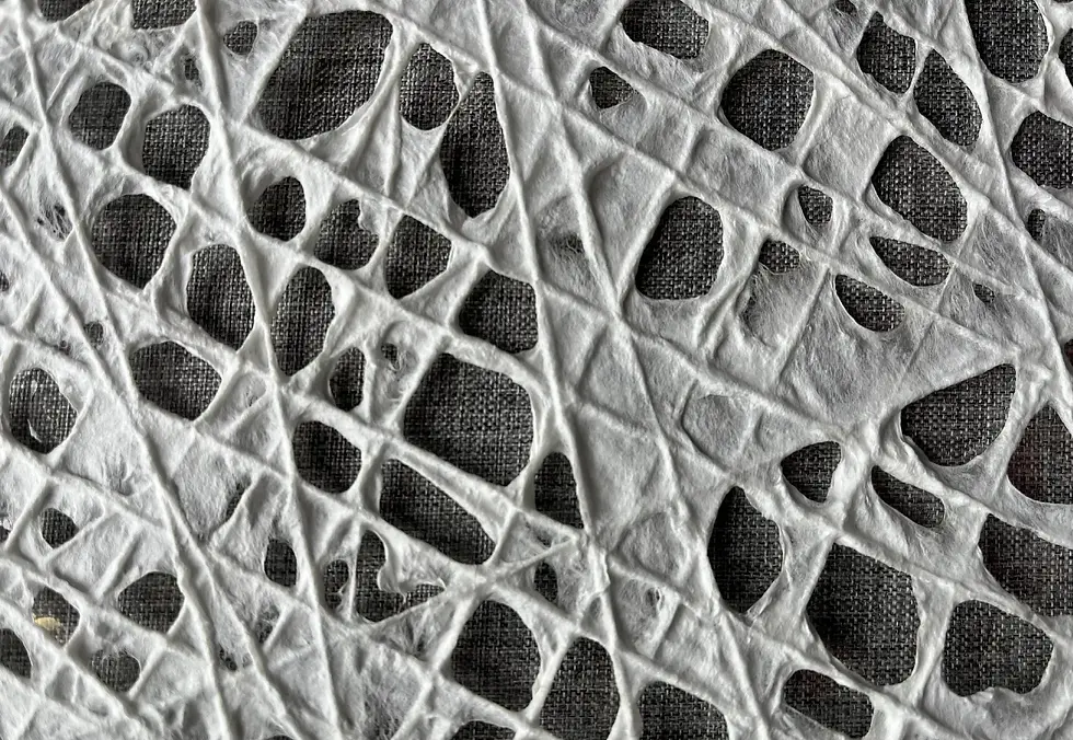 Thumbnail: Handmade Fishnet Mulberry Paper – White