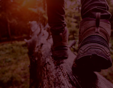 walking on a fallen tree trunk