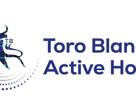 Why Toro Blanco Active Holidays is the leading company for Guided cycling and walking in Andalucia