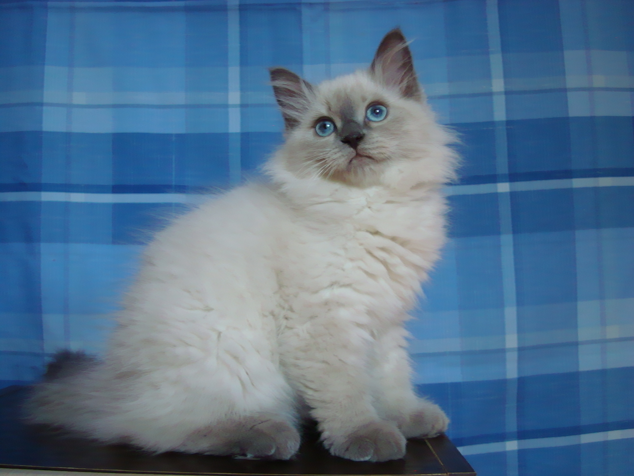 Dorothea Maris Stella 3 months