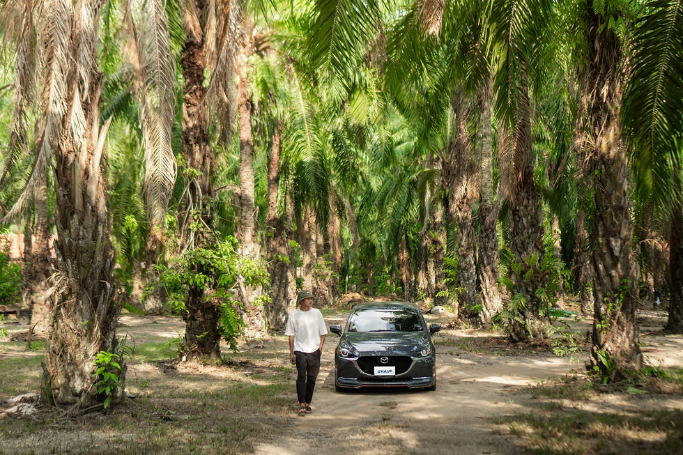 ชายหนุ่มเดินข้างรถ Mazda สีดำที่มีโลโก้ HAUP กลางสวนปาล์มในจังหวัดกระบี่ โปรโมตบริการเช่ารถจากคนไทยท้องถิ่นเพื่อเที่ยวตามรอยสถานที่ถ่ายทำ Jurassic World: Rebirth