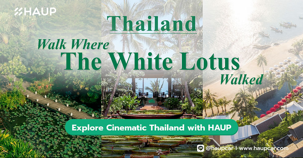 ภาพรวมสถานที่ท่องเที่ยวในไทยจากซีรีส์ The White Lotus ซีซัน 3 รวมฉากชายหาด รีสอร์ต และสวนสวยเมืองร้อน