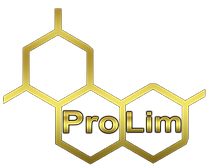 logo negro fondo (2).png