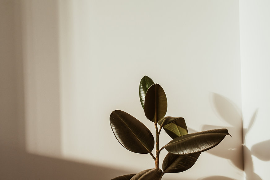 AdobeStock_338432850.jpeg