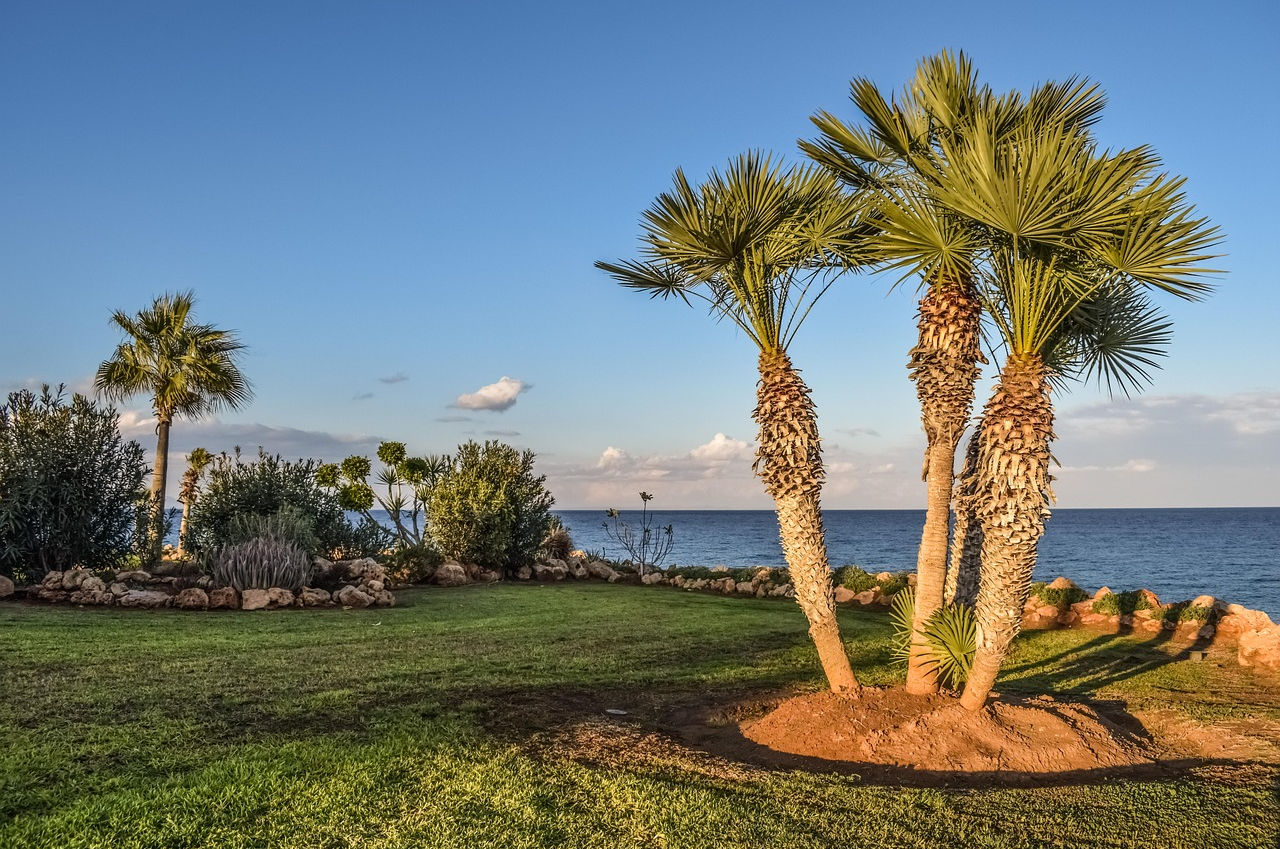 Landscaping job in Oahu