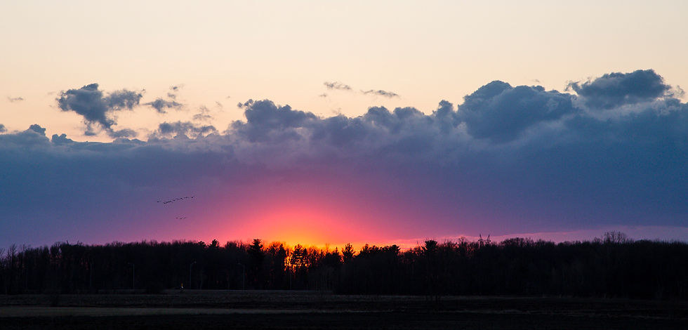 AD_1Q6A2316 André Daniel