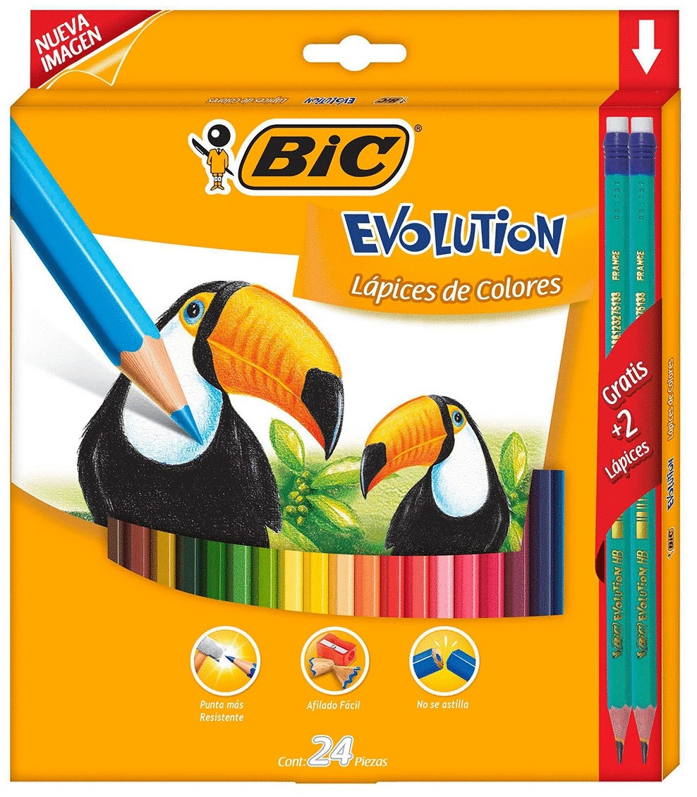 Colores BIC Evolution con 24