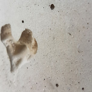 Kõige kõvem valuuta on tähelepanu