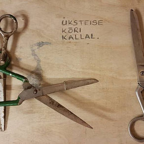 Oravat oodates ehk kirjutatud suvel, kui ideed hingavad