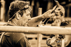 lcp-CANDIDS-5AcreWorkerBee-July28-2017-4