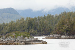 lcp-LyndonCassellPhotography-BrokenGroup-June9-2010-F-9524