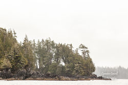 lcp-LyndonCassellPhotography-BrokenGroup-June9-2010-B-7962