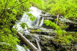 lcp-LyndonCassellPhotography-CherryCreekWaterfall-June6-2010-5781