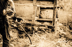 lcp-CANDIDS-5AcreWorkerBee-July22-2017-2