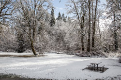 lcp-LyndonCassellPhotography-Snow-RogersCreekPark-Feb18-2018-3191