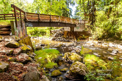 lcp-LyndonCassellPhotography-RogersCreekPark-June16-2018-2442