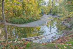 lcp-LyndonCassellPhotography-RogersCreekPark-Oct4-2010-5643