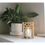 Thumbnail: Window Candle Holder