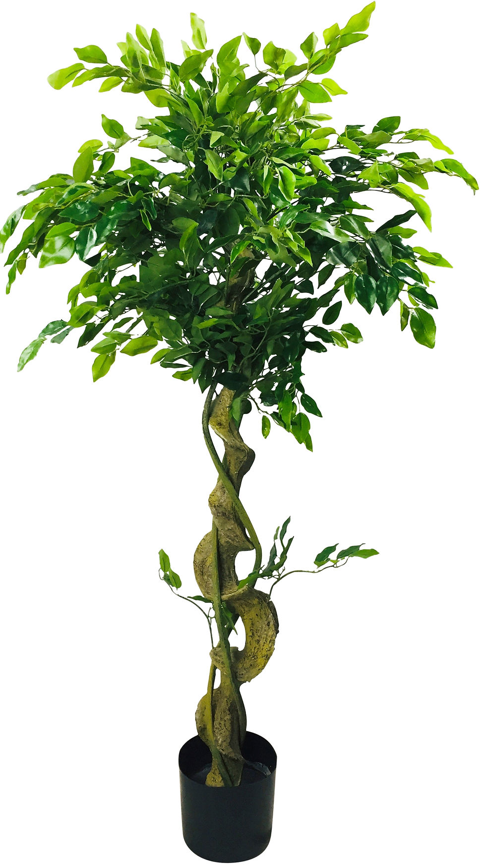 Artificial Ficus Tree With Twisted Trunk 137cm Shipping furniture UK
