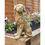 Thumbnail: Haddox Large Wood Effect Sitting Labrador Dog Statue