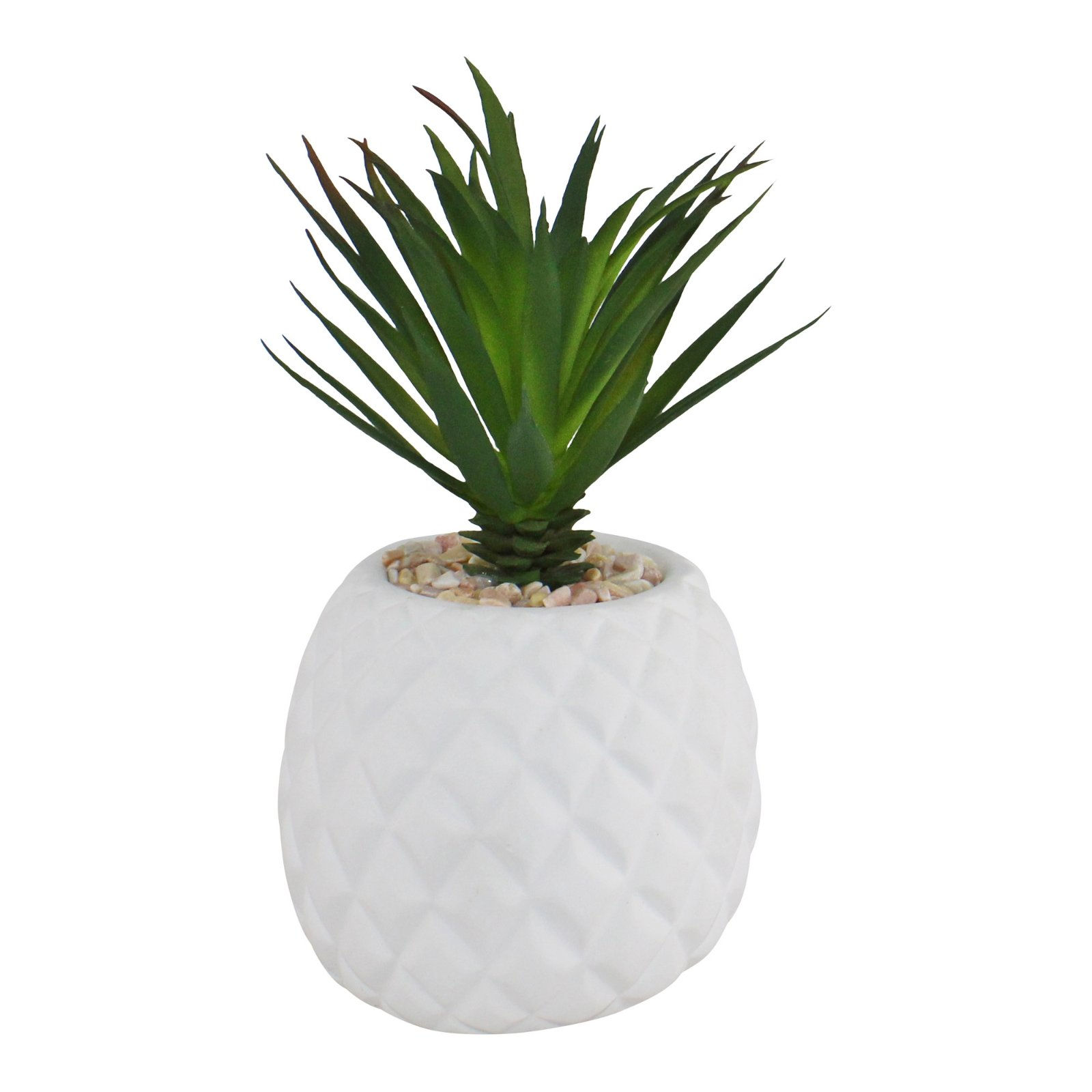 Succulent In Pineapple Shaped Pot Shipping furniture UK
