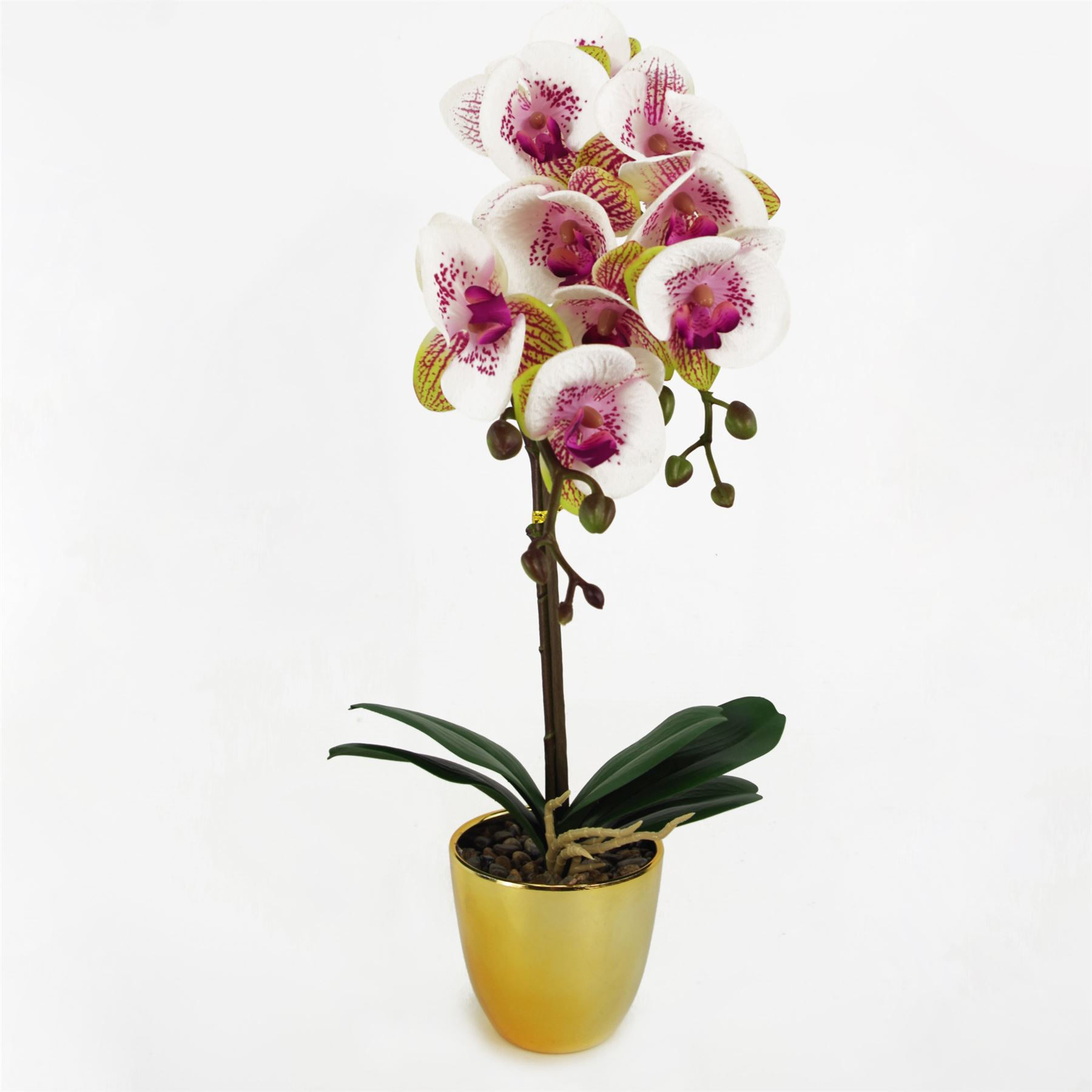48cm Harlequin Orchid Artificial - Pink with Gold Pot