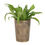 Thumbnail: Triple Moon Bronze Terracotta Plant Pot by Lisa Parker
