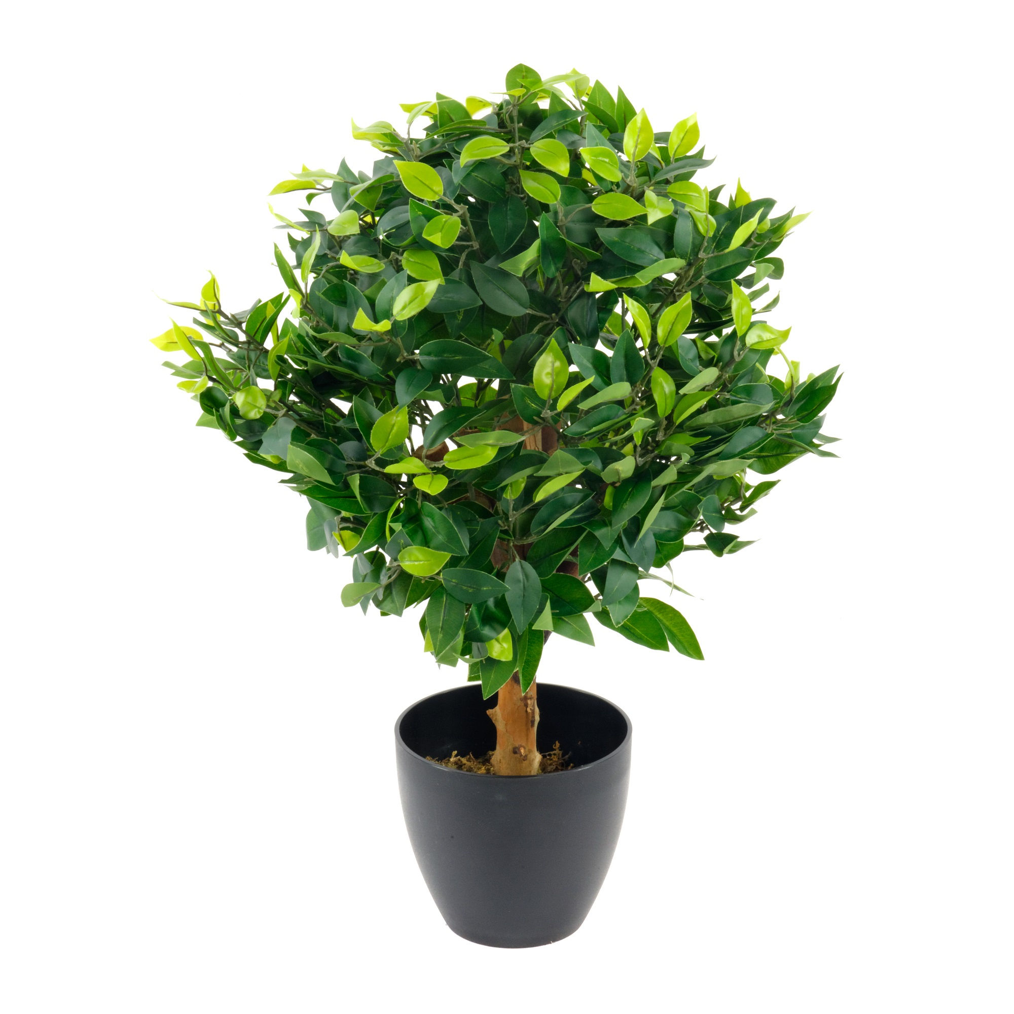 Artificial Medium 65cm Ficus Ball with Black Pot Shipping furniture UK