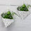 Thumbnail: Hanging Diamond Glass Terrarium - Set of 2