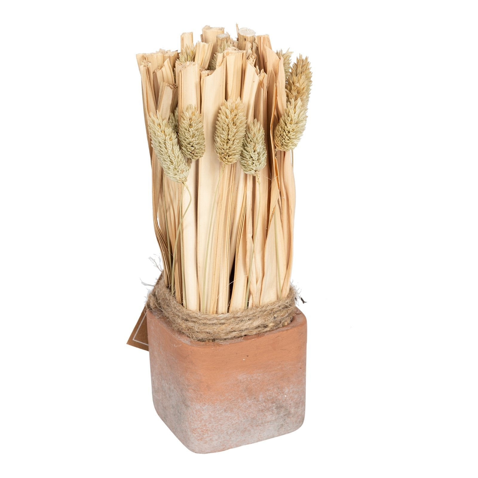 Fox Tail Dried Grass Bouquet in Terracotta Pot - Large Shipping furniture UK