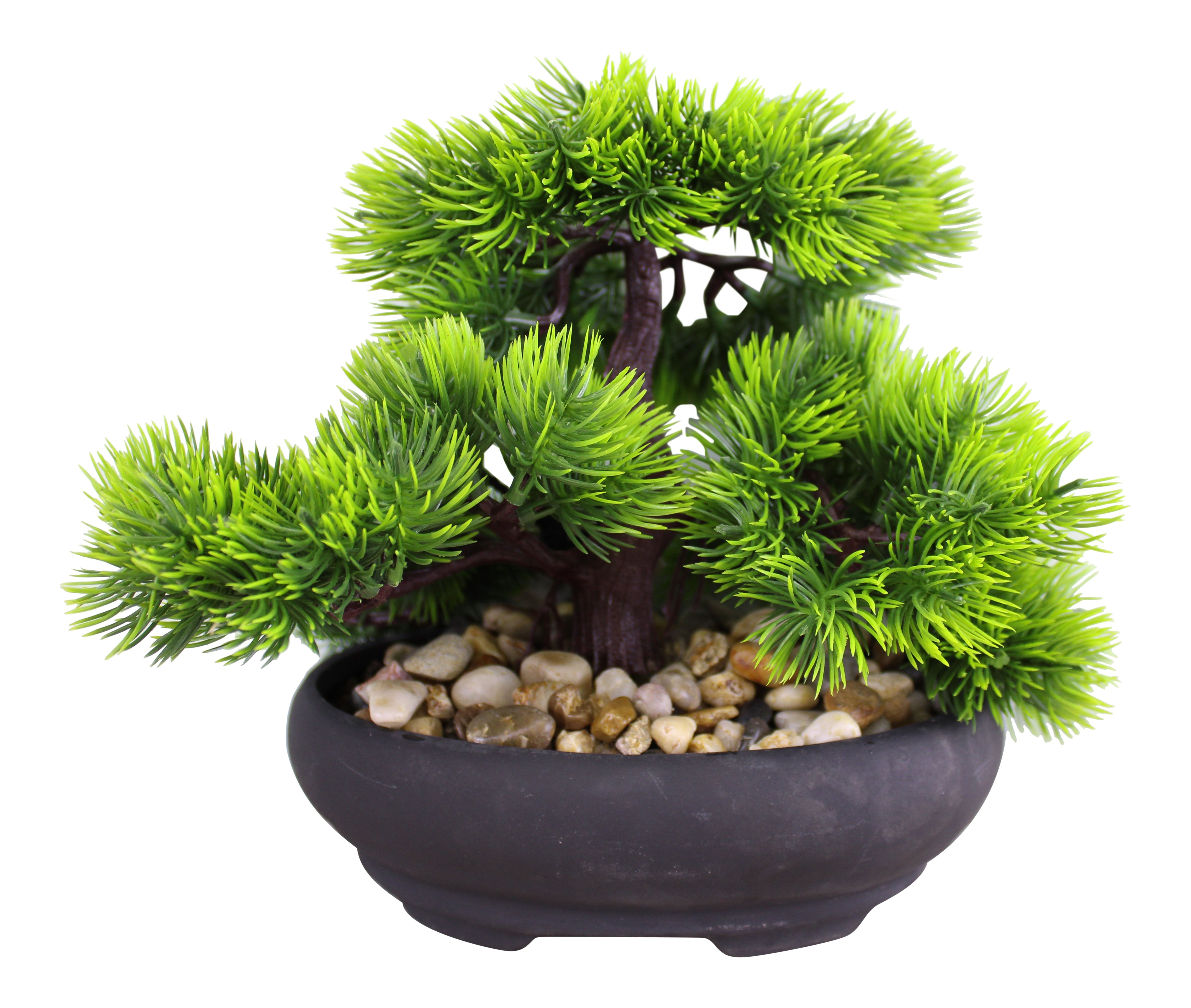 Eastern Faux Bonsai Tree in Fir Tree style Shipping furniture UK
