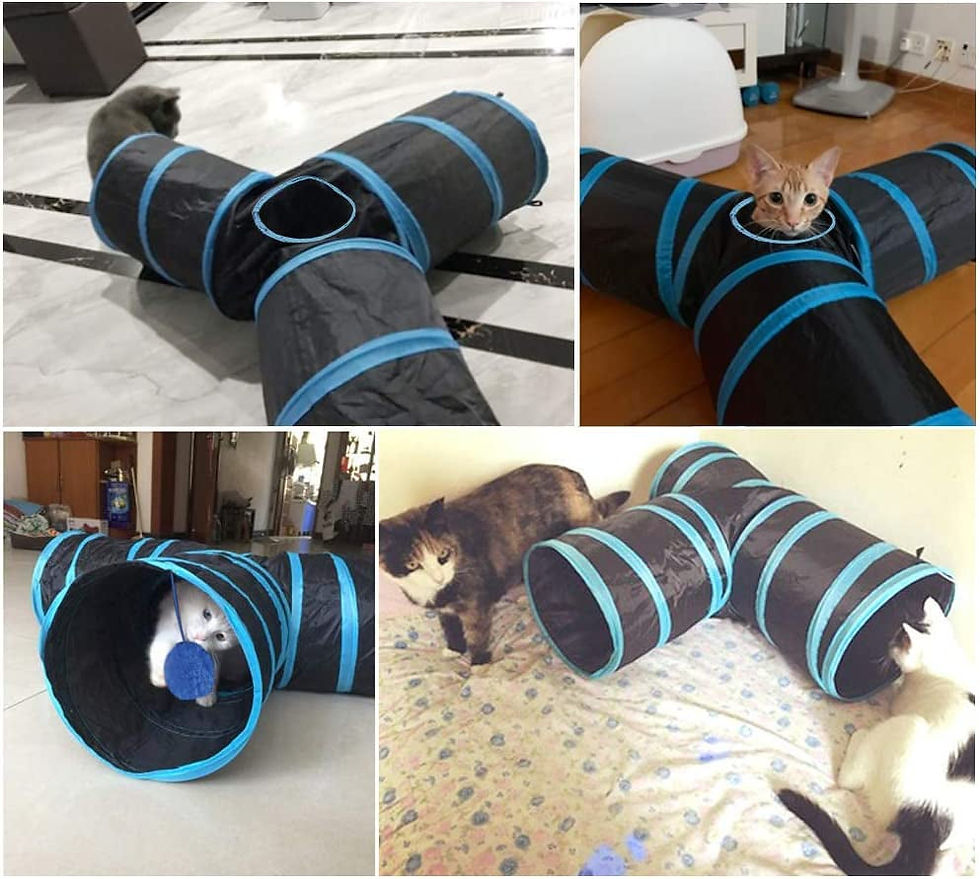 Thumbnail: Cat Toys Cat Tunnel and Cat Cube Pop Up Collapsible Kitten Indoor Outdoor Toys