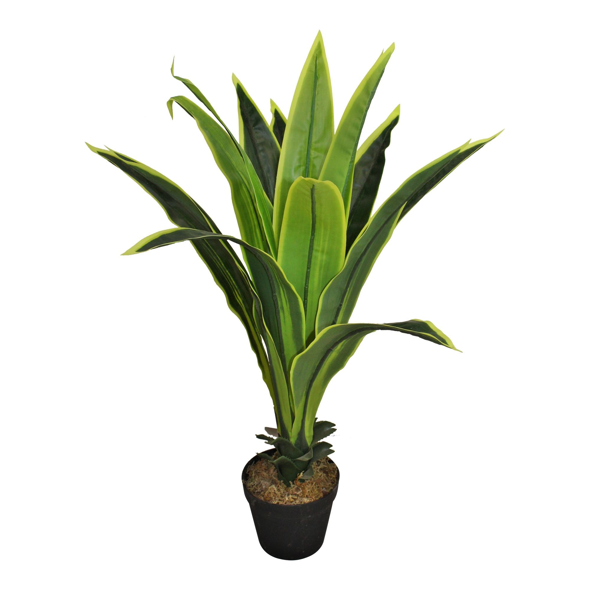 Artificial Dracaena Plant with 15 leaves, 80cm
Shipping furniture UK