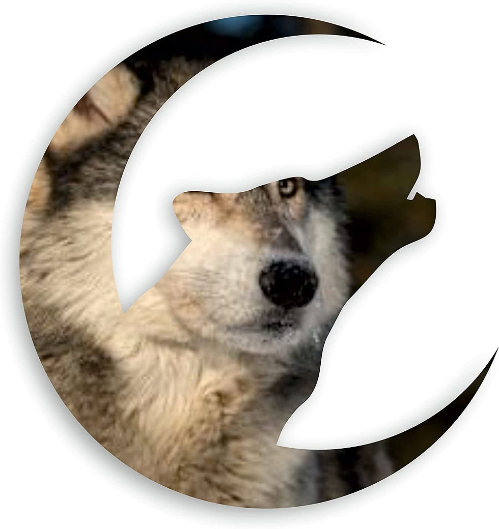 Thumbnail: Howling Wolf Head and Crescent Moon Acrylic Mirror 30cm x 26.5cm