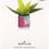 Thumbnail: Mother's Day Card, Pop Up Plant 'Paper Wonder' Design