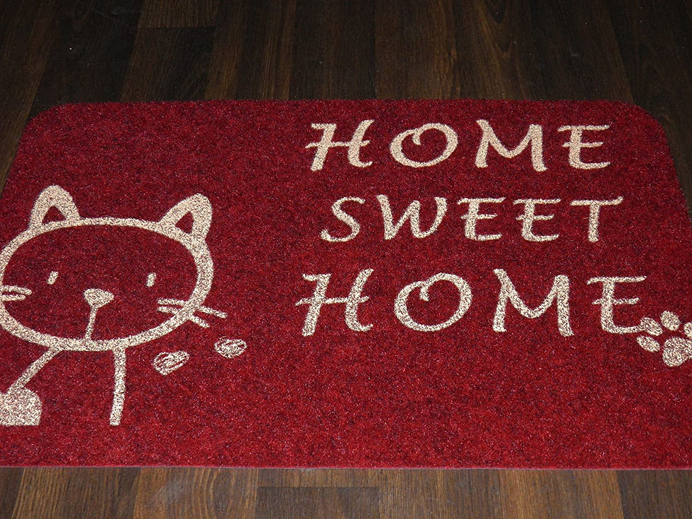 Novelty Non Slip Backing Pet Cat Door Mat 50x80cm Red Other Designs Available