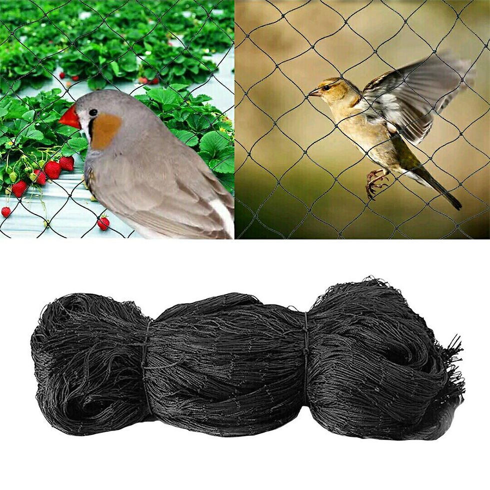 Thumbnail: 12 x Anti Bird Garden Netting Pond Net Protection Plants Veg Crops Fruit Fine Me