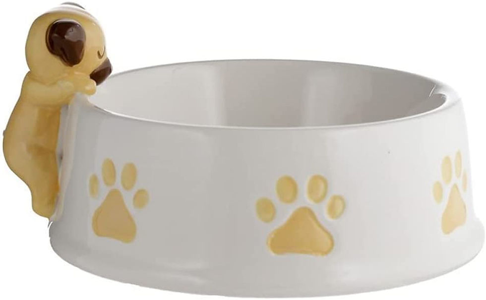 Thumbnail: BOWL12 Mopps Pug on Rim Ceramic Pet Food Water Bowl