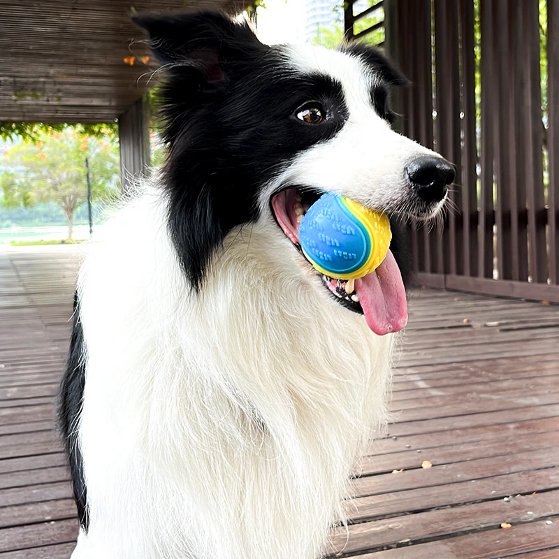 Thumbnail: Interactive Soft TPR Toy for Dog Pet Teeth Cleaning Bite Resistance Squeaky Ball