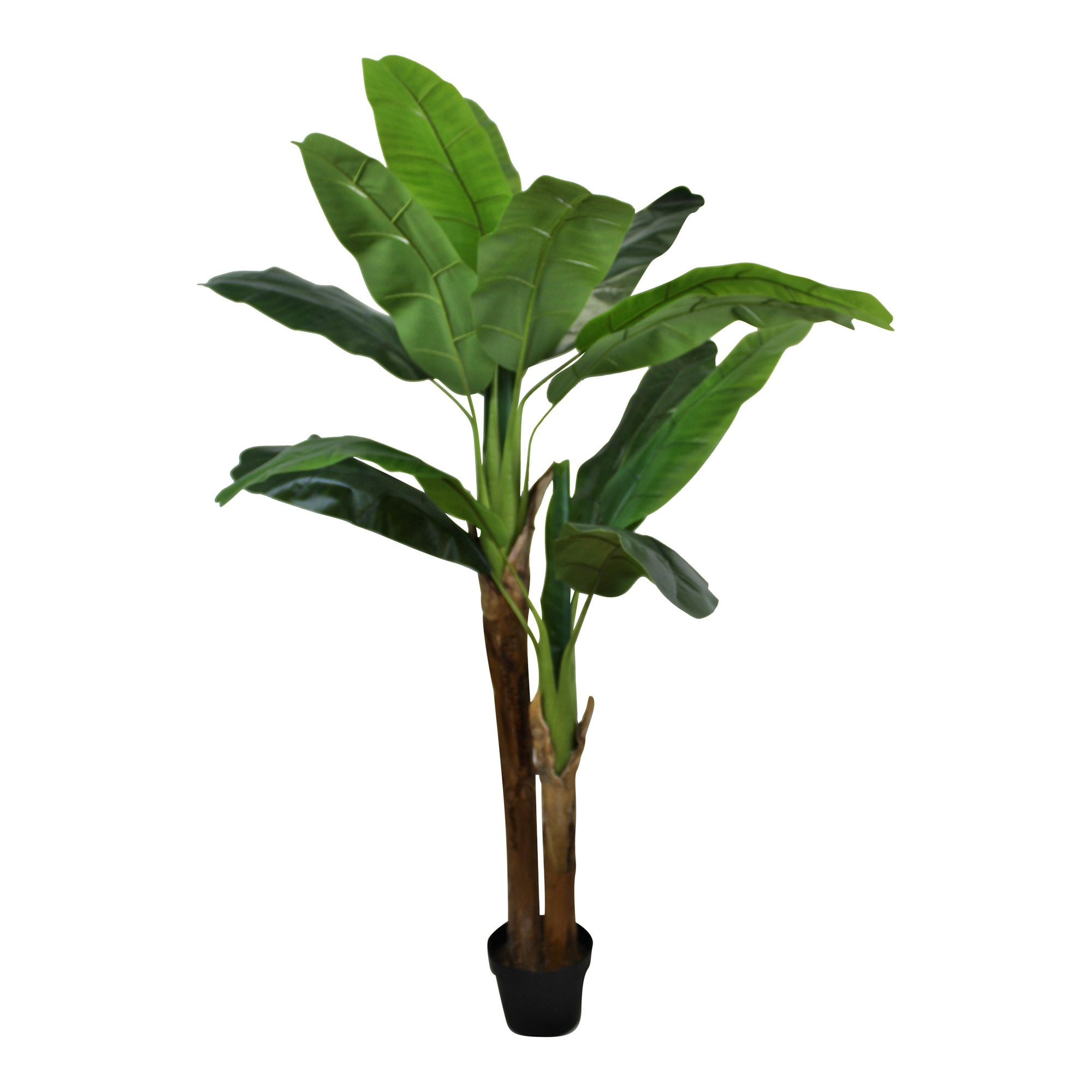 Artificial Banana Tree , 2 Stems, 160cm Shipping furniture UK