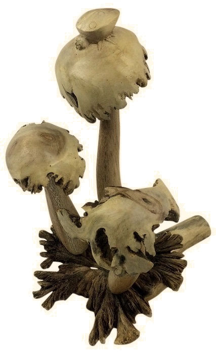 Mushroom on stem with Lady Bird Ornament Shipping furniture UK