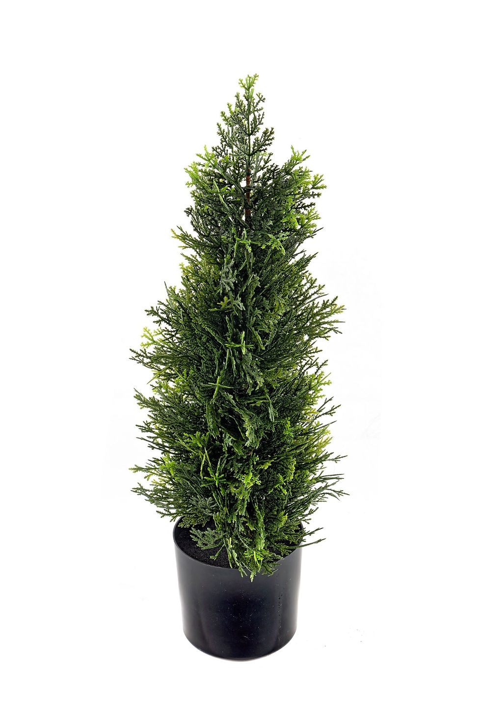 Cedar Topiary 58cm Shipping furniture UK