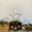 Thumbnail: 3 X Steel Stars  Christmas Decorations Vintage Style Decor Metal