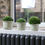 Thumbnail: Plastic Plant Pots - Set of 10 Small |