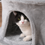 Thumbnail: Cat Tree Multi-level Kitten Tower w/ Scratching Post Condo Plush Perches