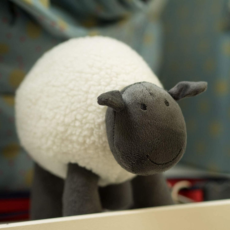 Thumbnail: Stanley the Sheep Soft Dog and Puppy Toy, Medium