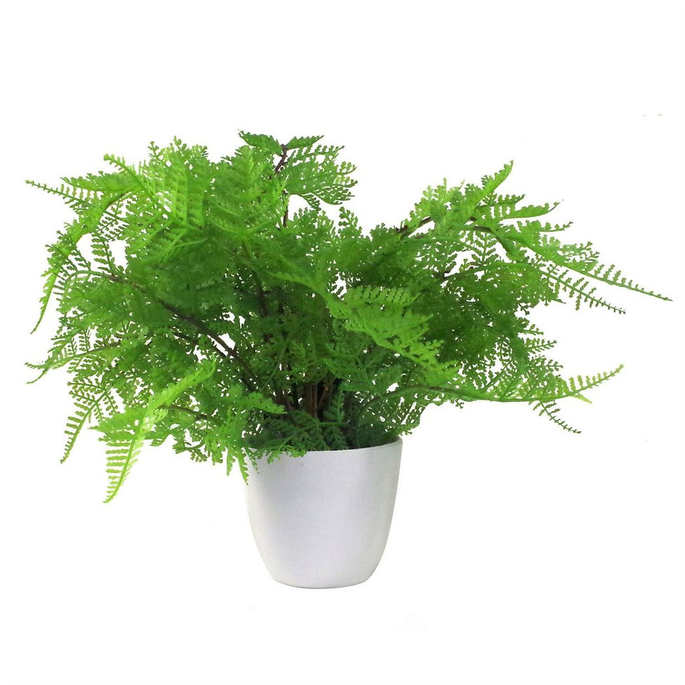 Thumbnail: Pack of 3 x 30cm Artificial Ferns - Southern Wood - Lady and Royal - Potted