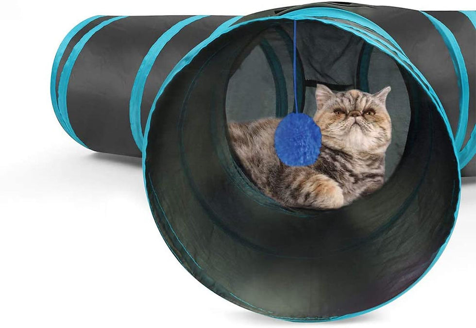 Thumbnail: Cat Toys Cat Tunnel and Cat Cube Pop Up Collapsible Kitten Indoor Outdoor Toys