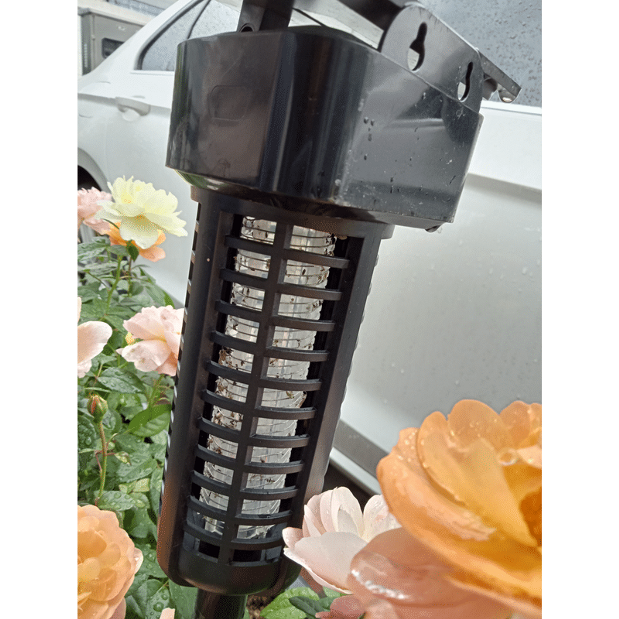 Outdoor Rechargeable Solar Insect Killer Lamp
