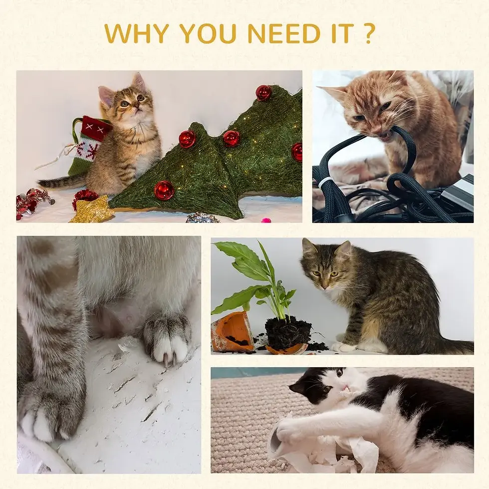 Thumbnail: 51cm Cat Tree Kitty Activity Centre w/ Top Bed, Toy Ball, Sisal Scratching Post